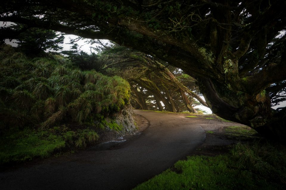 Path to the Pt. Reyes Light